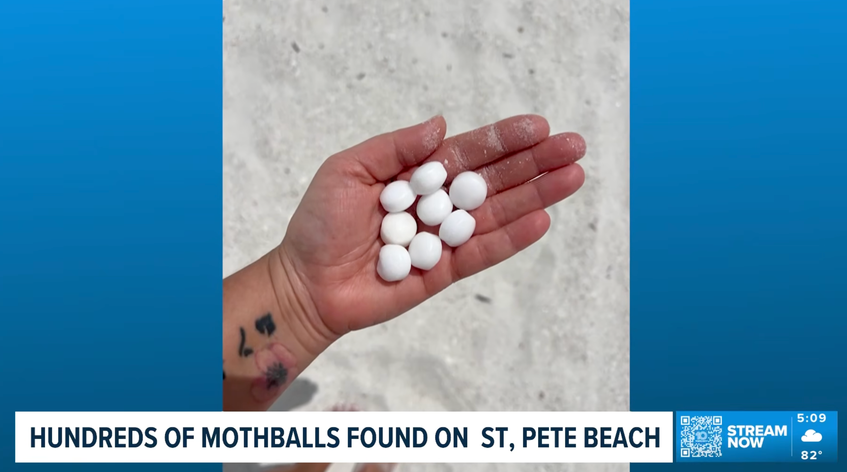 Florida Owners Charged After Scattering Toxic Mothballs Near Protected Beach Birds