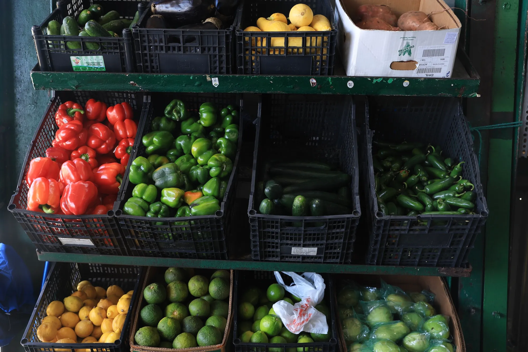 Optimizing Your Plate: A Guide to Seasonal Eating and Shopping at Farmers Markets